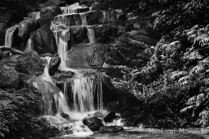 Waterfall, Vandusen Botanical Gardens, Vancouver, BC