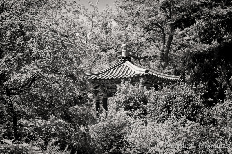 Korean Garden, Vandusen Botanical Gardens, Vancouver, BC