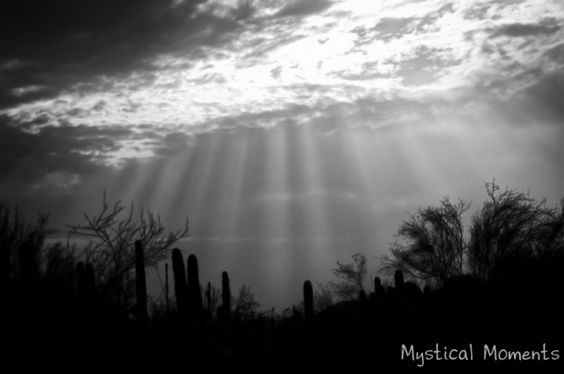 Approaching storm, Sonoran Desert (near Scottsdale), Arizona