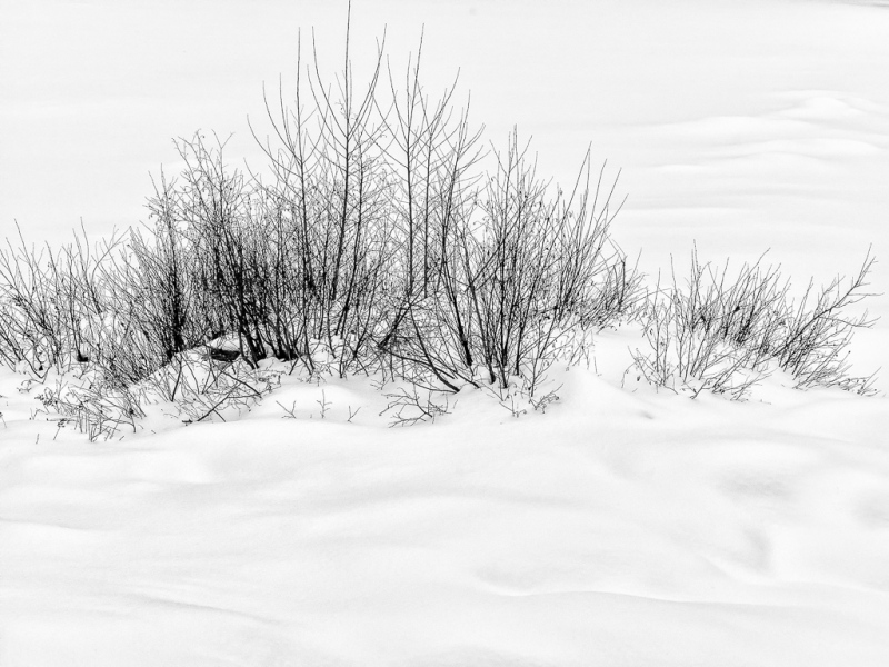 Winter in High Key, Montreal, Que