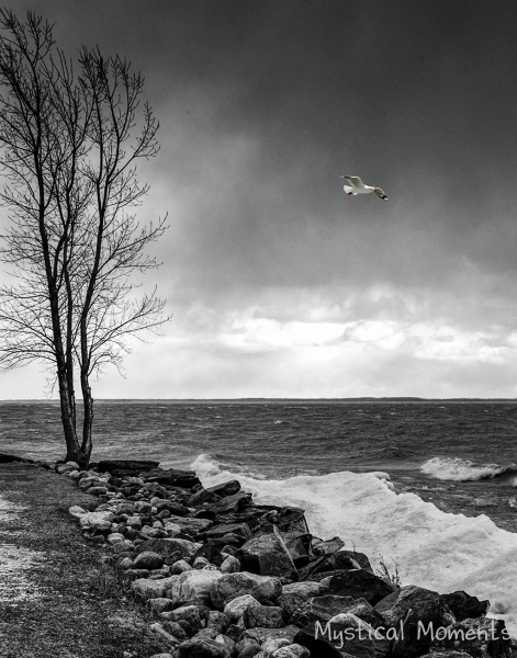 Head Winds, Lake St. Louis, Pointe Claire, Que