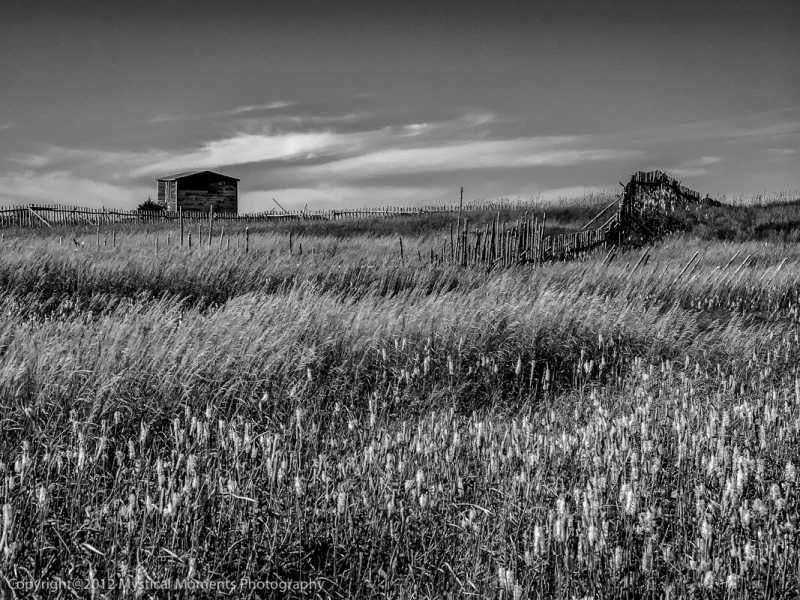 Fisherman's Shed, Fogo Island, Newfoundland