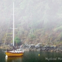 Port In A Storm, Vancouver Island, BC