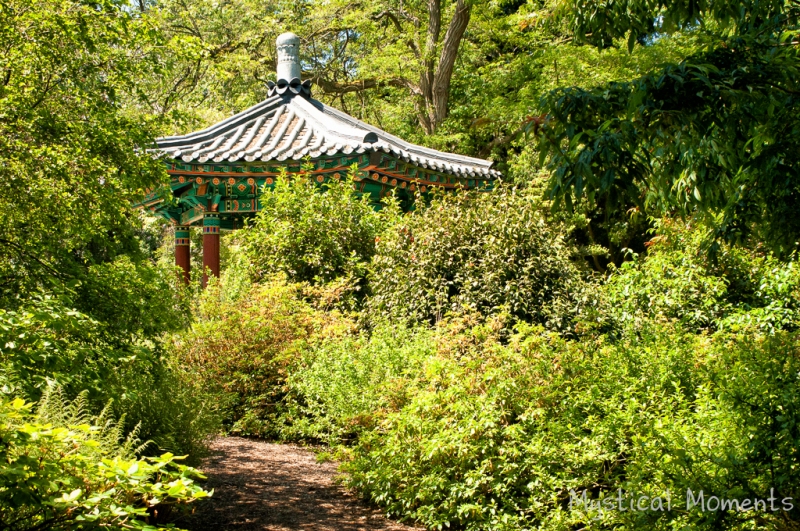 Pagoda, VanDusen Gardens,  Vancouver, BC