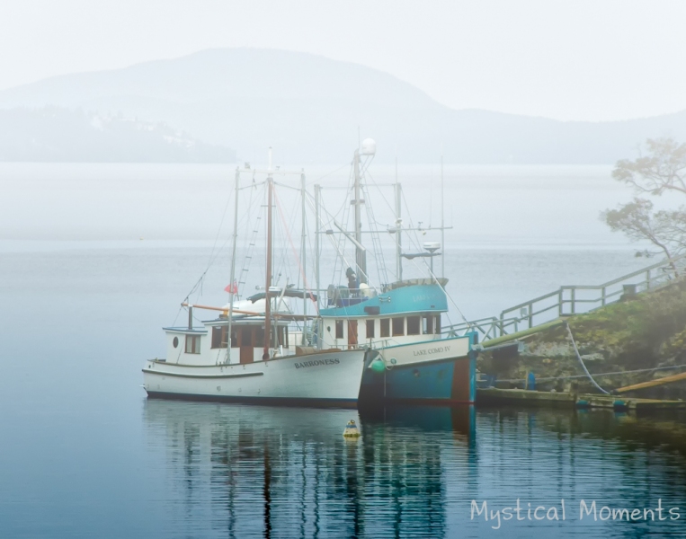 Fogged In, Vancouver Island, BC