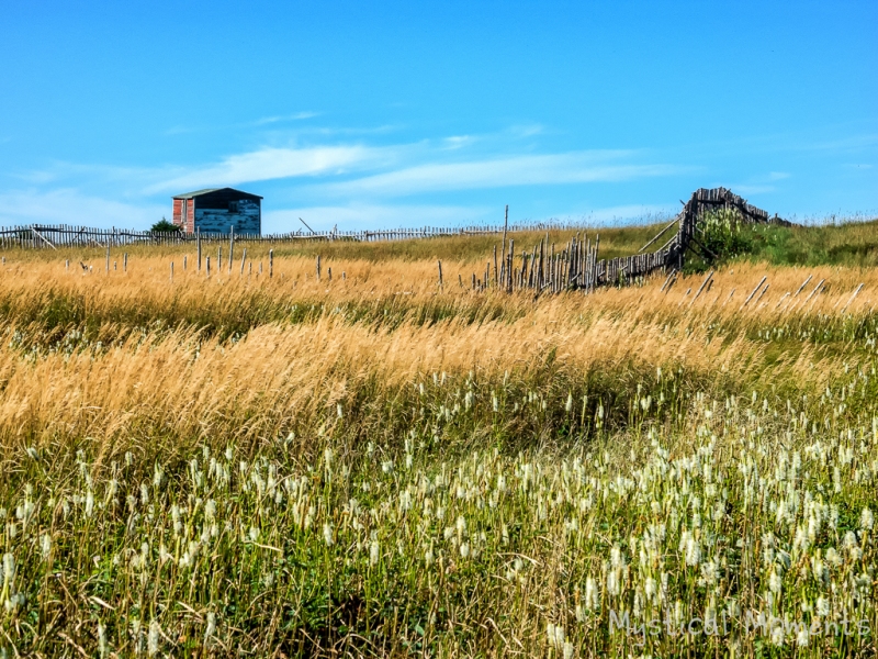 Relics of the Past, Fogo Island, Newfoundland