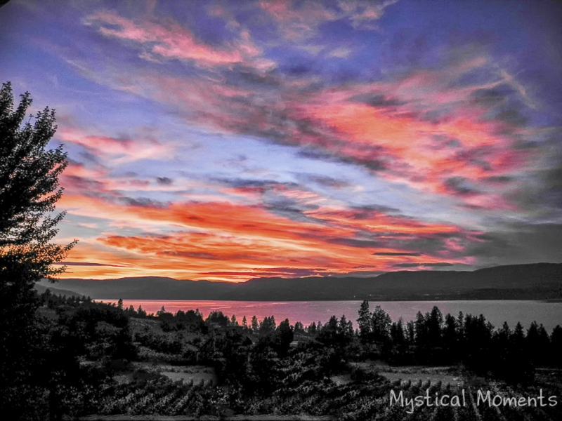 Vineyards-on-Lake-Okanagan-5