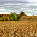 Harvest Complete, Ile Perot, Quebec