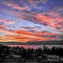 Vineyards-on-Lake-Okanagan-5